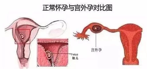微信图片_20210412113017.jpg