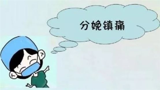 d74f44d913304e499132c0858a573ad2.jpeg