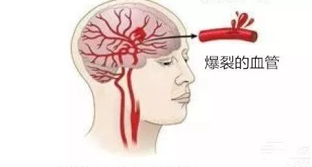 图片1.jpeg