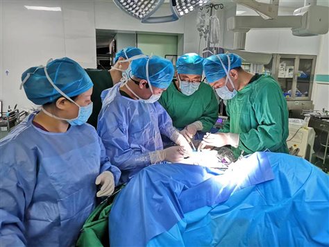 777417bd5a6ca320bcecdf154e5a426