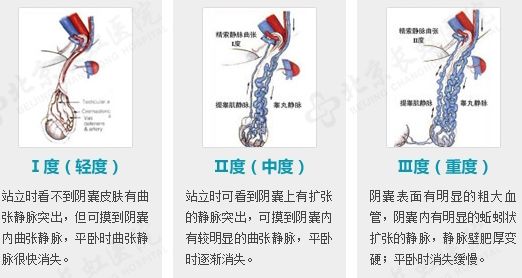 查看源图像