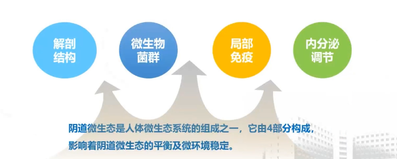 C:\Users\dell\AppData\Local\Temp\WeChat Files\1a68472c99ba7b48fe66812258b2d27.png