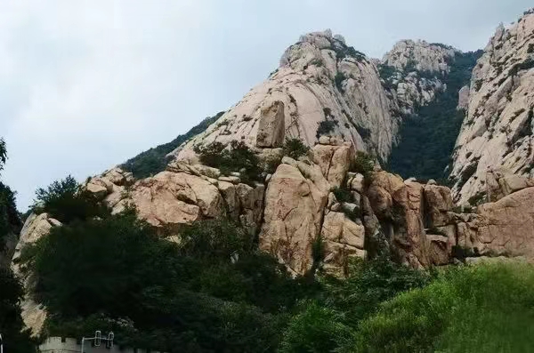 d73e48353ed21813c735090c083ec8b