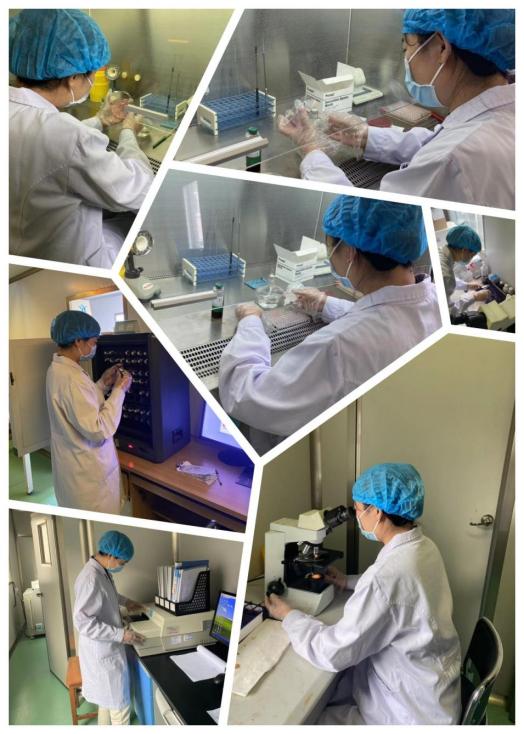 微生物