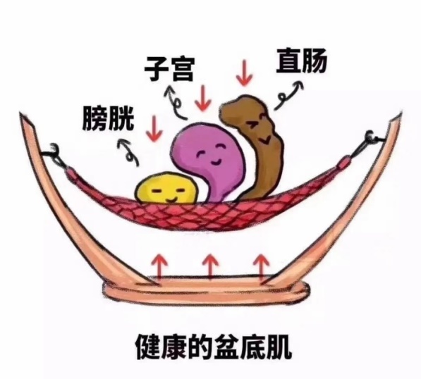 图片 1