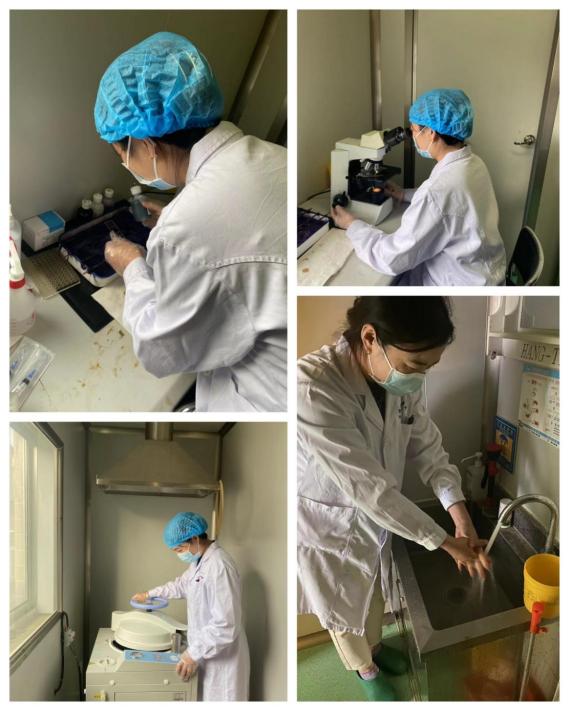 微生物2