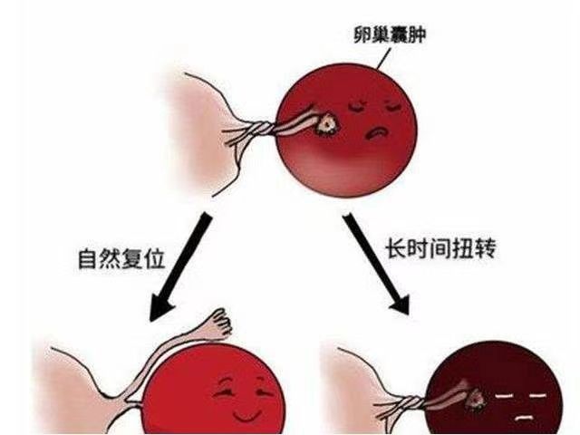 C:\Users\dell\AppData\Local\Temp\WeChat Files\788354f2d2f7680def01df57df083c7.jpg