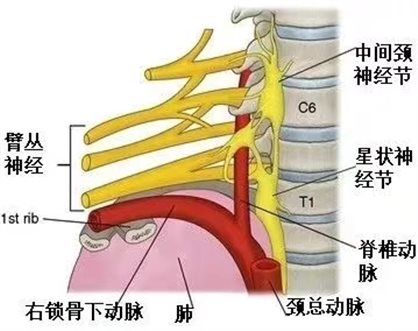 微信图片_20240716214120