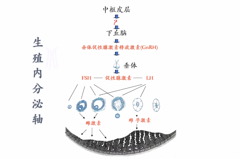C:\Users\dell\AppData\Local\Temp\WeChat Files\4fc352765f3d020b14c5d3b557f91dd.png