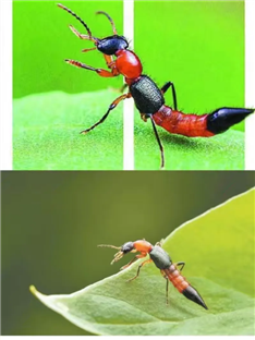 3f9e6314e5a991bc3080d69bf625a674