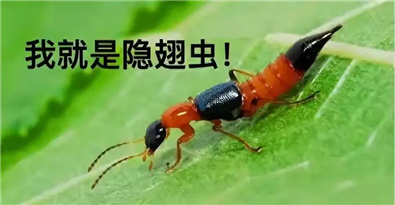 a35e5902e9d16348aca4602278b1174e