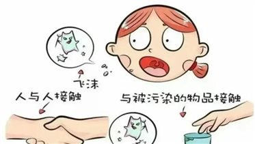 1385f9d20f4c67a5332a5b6969979e76