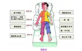 467adcbd50c91bf47d456bf24b327a8