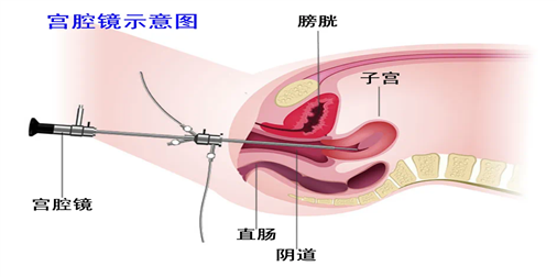 C:\Users\dell\AppData\Local\Temp\WeChat Files\c3f6406d48ea999d5a8a254c9d0958d.png