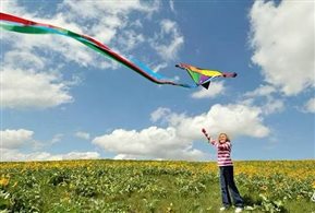 e12c257e49a06a37ab5b51a1fac76ea1