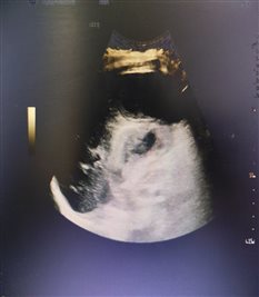 6e524a23a35132ee02dee32db3fff739