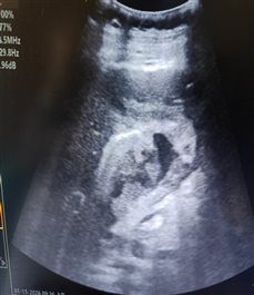 e2abb66b28c2740a6b5758f7a30bb35b