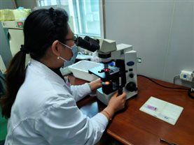 13微信图片_20260217084829