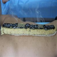 微信图片_20250326213149