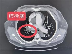 微信图片_20260203133629_5_2