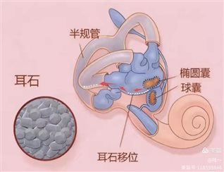 57d25d94d61111435ef707d5ce30ca8c