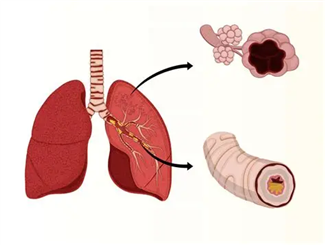 8b32d6cca4e7d6b4f4a195d925c6be44