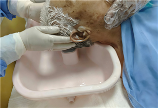 af7b3293a6b86af7d7102910dcf413aa