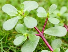 190bd9dbe0e8b448735e898a580be5cf