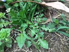 064e7033295c463bb1804db112625d8c