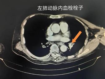 微信图片_20260203133628_4_2