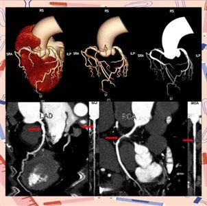 dc4bdbfc017eba2469d80c0ed0543e3f