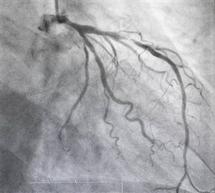 0238e65680d8514a316908b7de371824