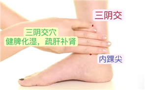 e8e2b80d-0863-4aee-9438-f5a7a77fa2ab